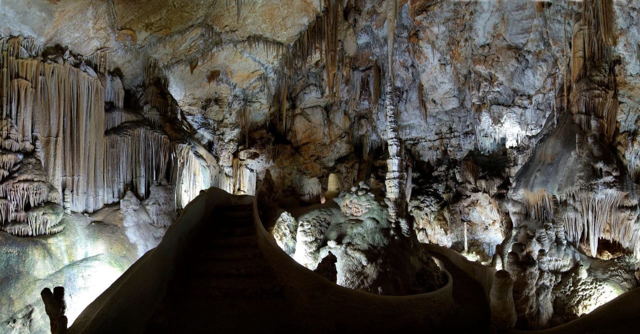 Grotte di Campanet: Biglietto salta-coda — 5