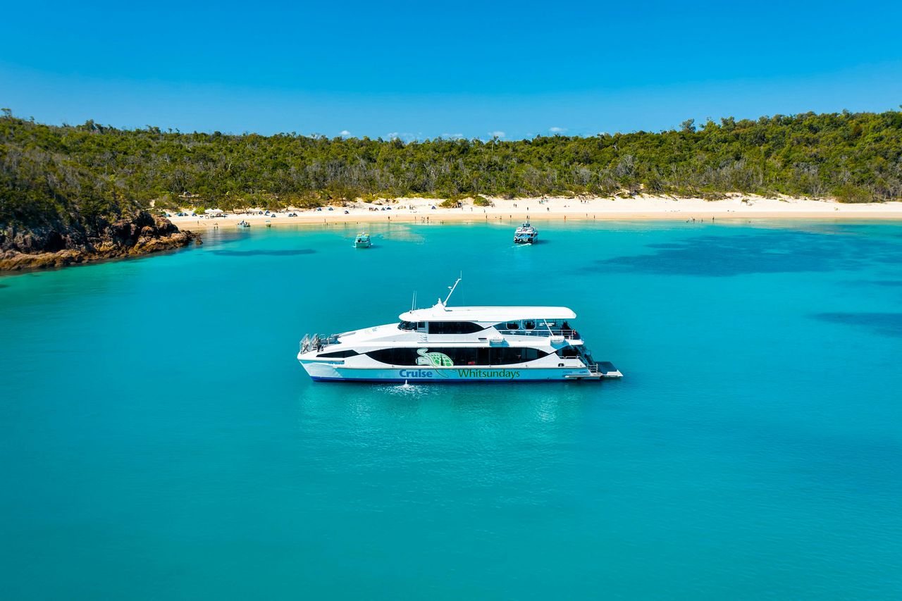 Spiaggia di Whitehaven: Tour di mezza giornata al mattino o al pomeriggio in barca da Airlie Beach — 3
