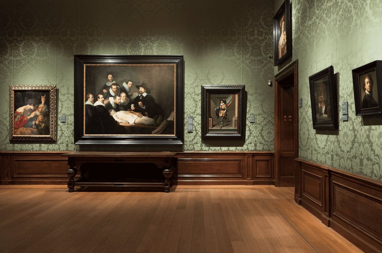 Il Museo Mauritshouse: Biglietto d'ingresso — 8