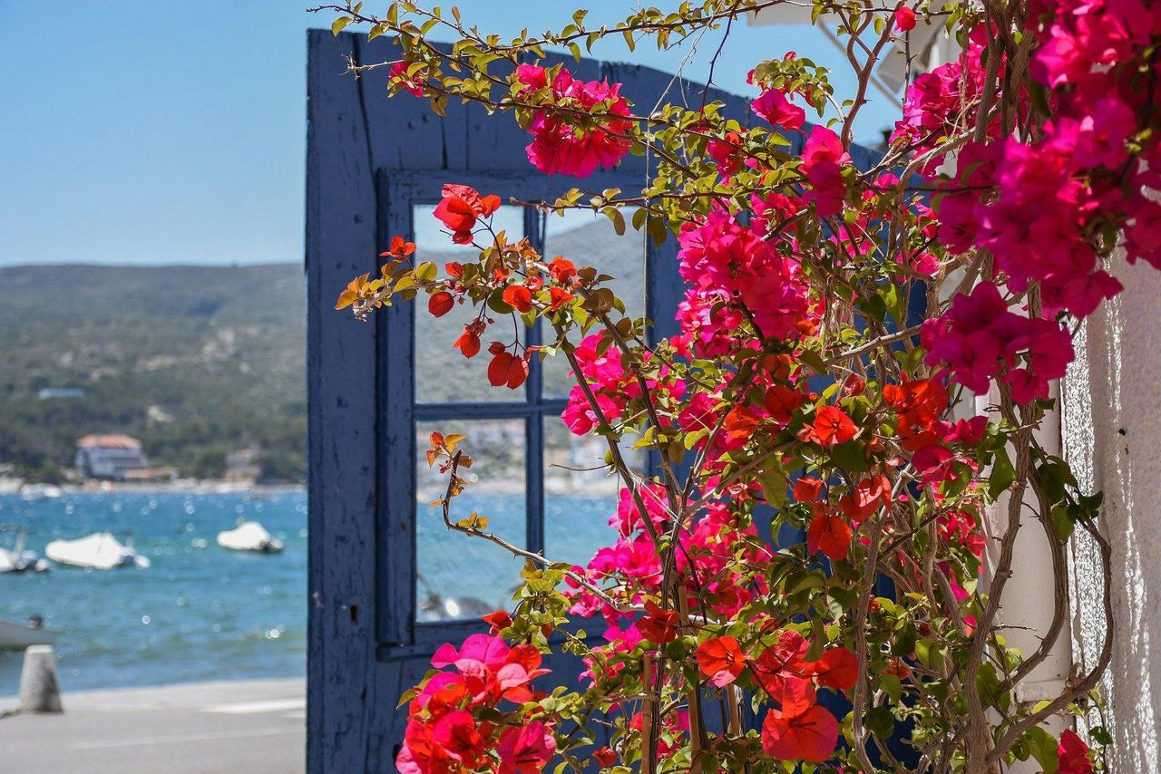 Costa Brava: Tour in catamarano a Cadaqués da Roses o Santa Margarita — 7