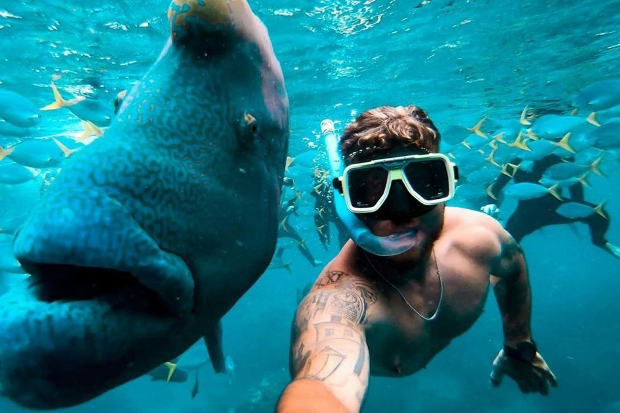 Isole Whitsunday: Tour in giornata in barca a vela da Airlie Beach — 2