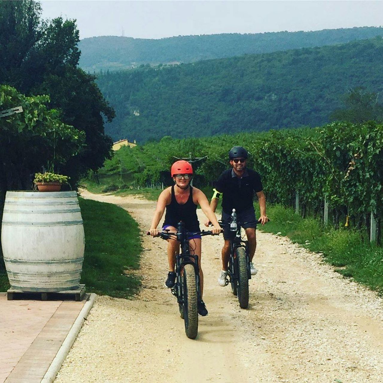 Vigneti della Valpolicella: Tour in e-bike con degustazione di vini