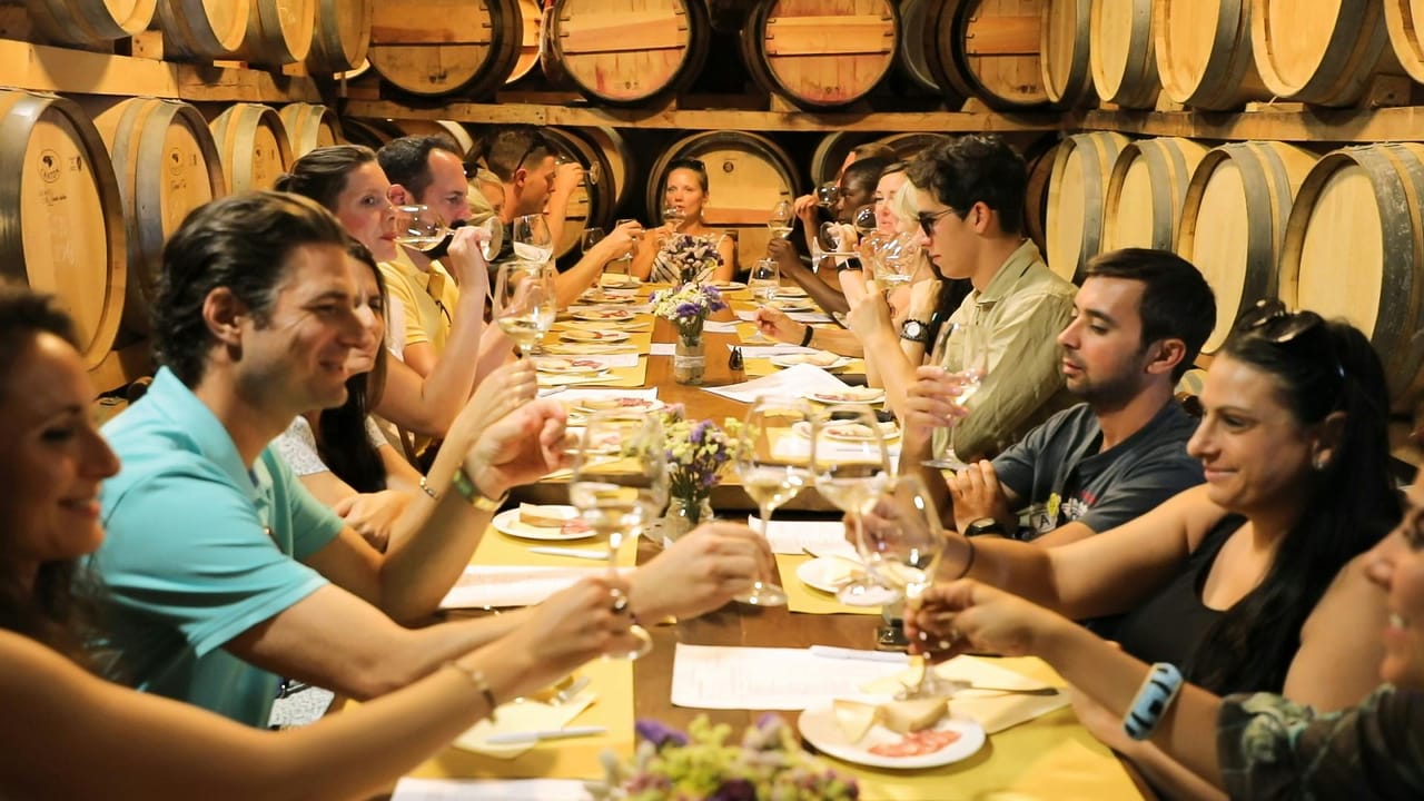 Chianti: Gita in giornata da Firenze + Tour e degustazione di vini