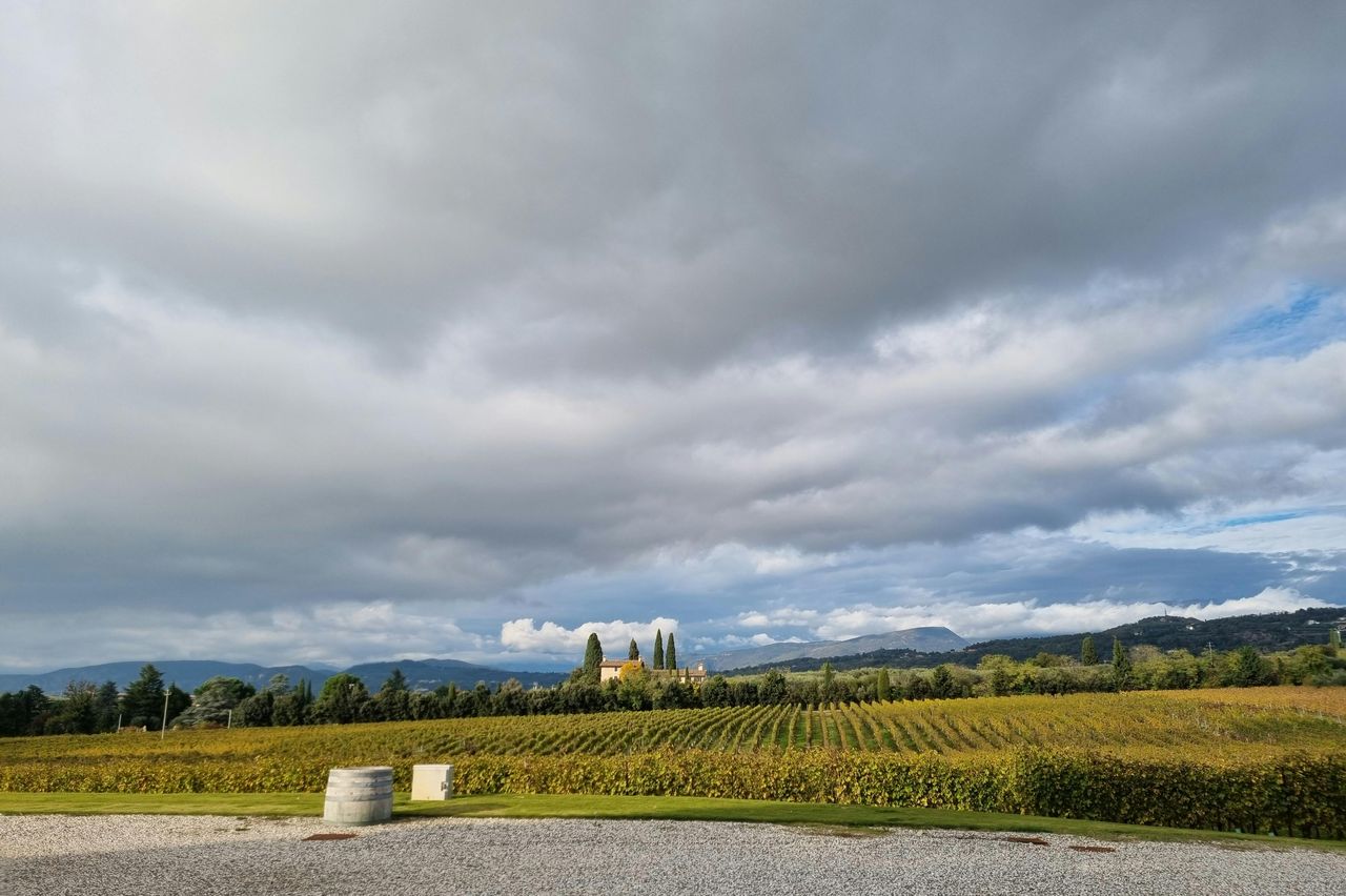 Lago di Garda: Degustazione di vini + Tour dei vigneti di Bardolino — 8