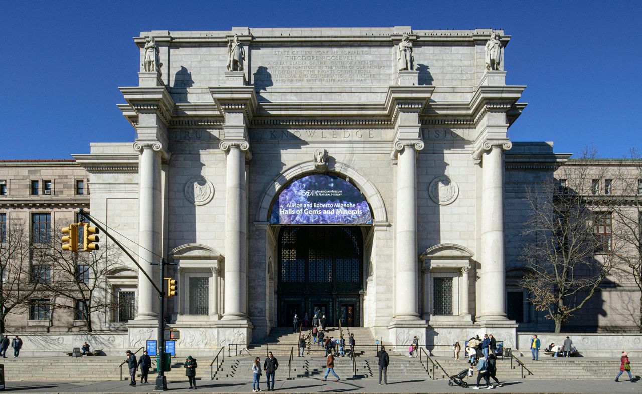 American Museum of Natural History (AMNH): Biglietto d'ingresso — 5