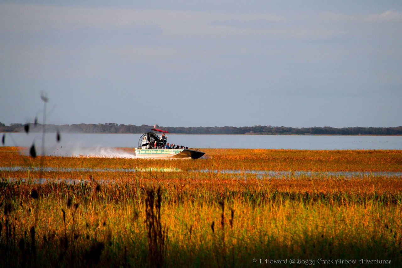 Kissimmee: tour in motoscafo delle Everglades di 1 ora a Boggy Creek — 4