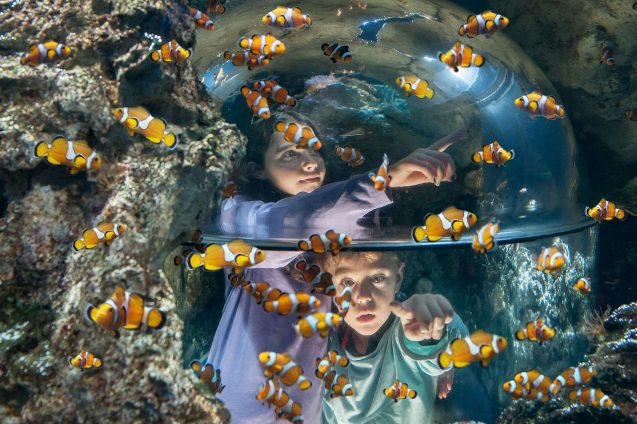 Gardaland Park + Gardaland SEA LIFE Aquarium — 8