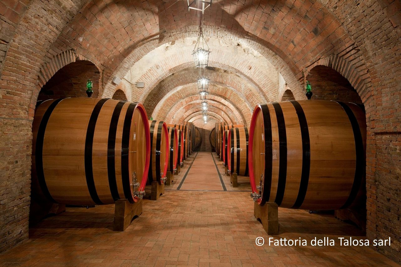 Montepulciano: Visita guidata al vigneto + degustazione di vini