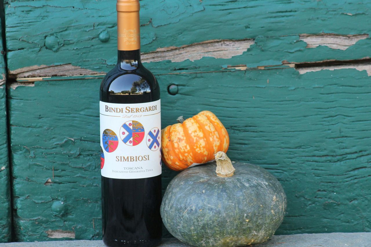 Siena: Degustazione di vino, olio e cibo Mocenni Premium presso un vigneto toscano — 5