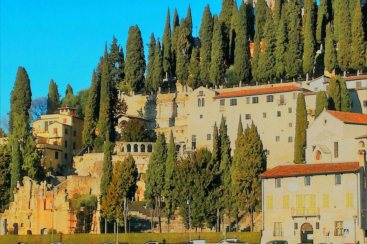 Tour guidato di Verona: Storia e gemme nascoste — 2