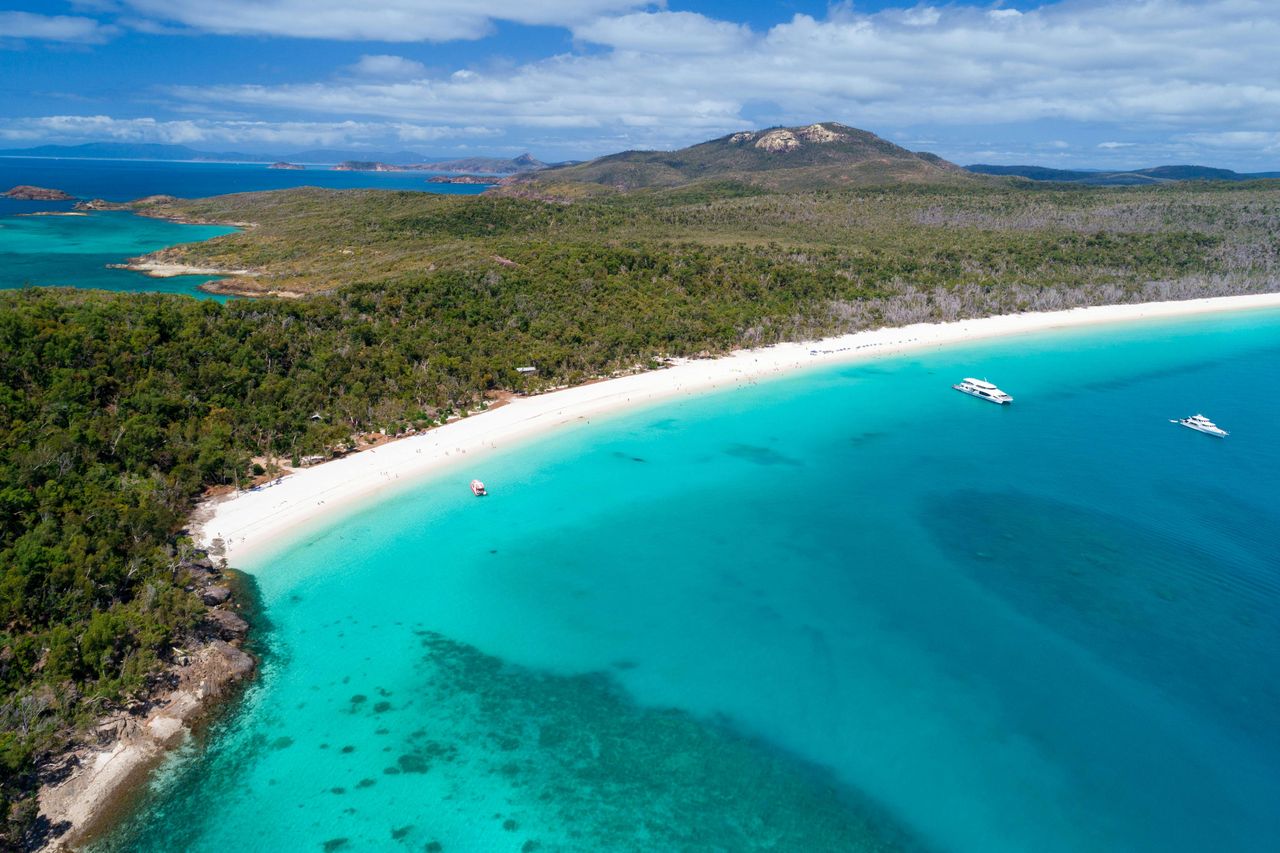 Spiaggia di Whitehaven: Tour in barca da Airlie Beach + tour guidato di Hill Inlet + barbecue — 4
