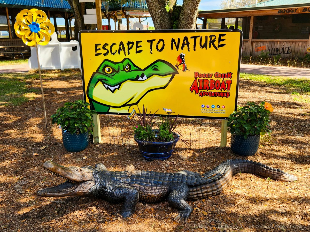 Kissimmee: tour in motoscafo delle Everglades di 30 minuti a Boggy Creek — 7