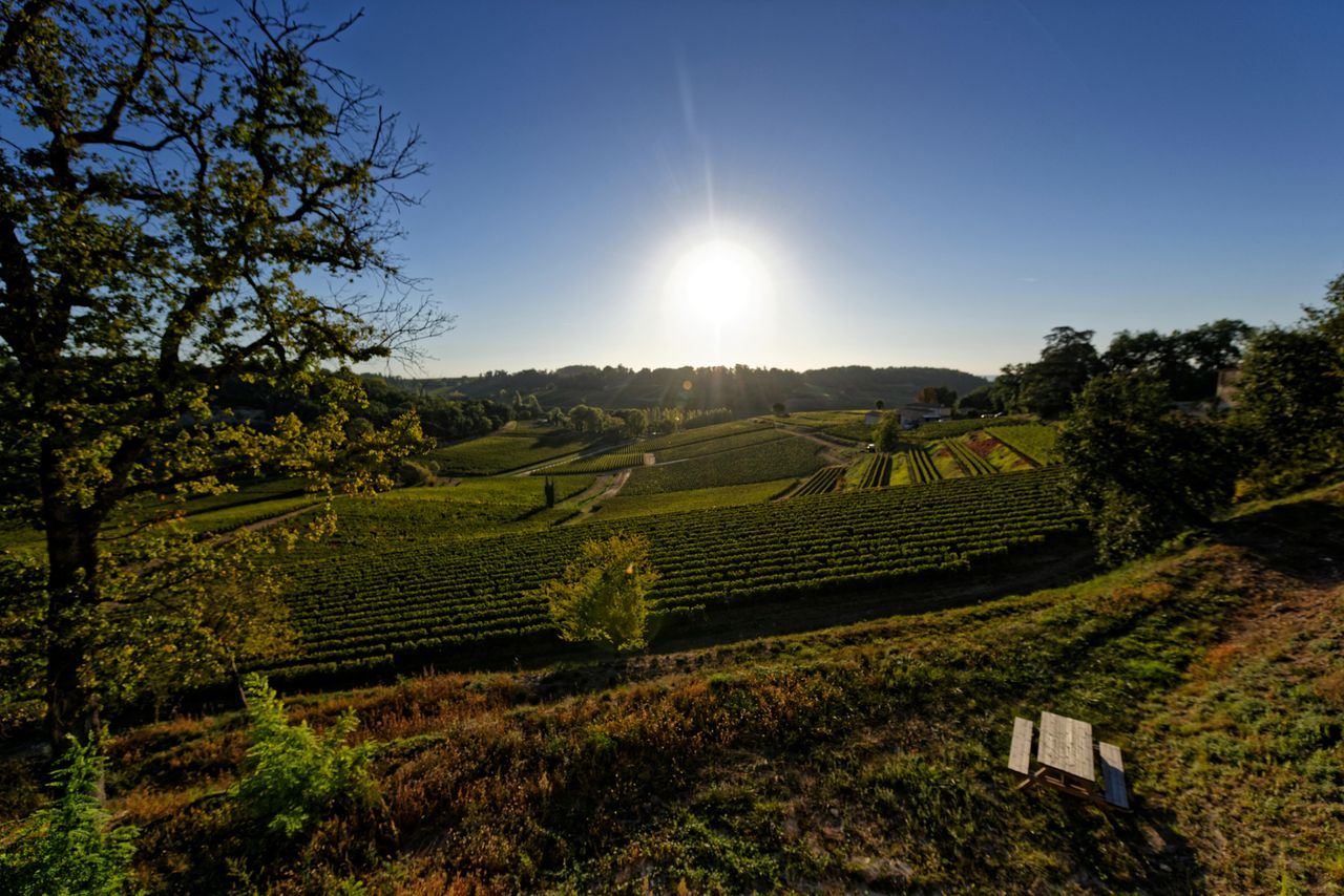 Château La Croizille: Tour Guidato + Degustazione di Vini — 2
