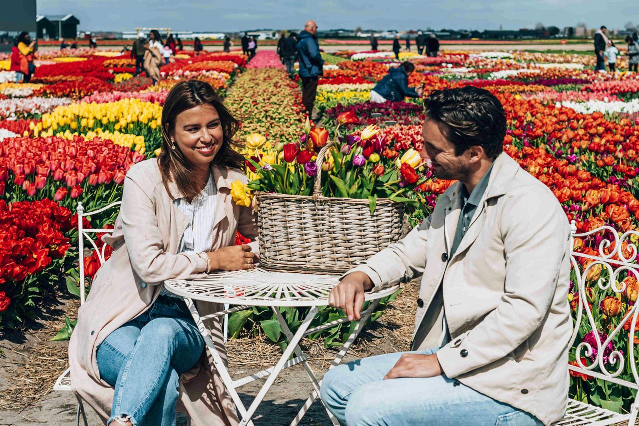 Esperienza Keukenhof & Tulipani: Biglietto d'ingresso + trasferimento + caffè o tè — 3