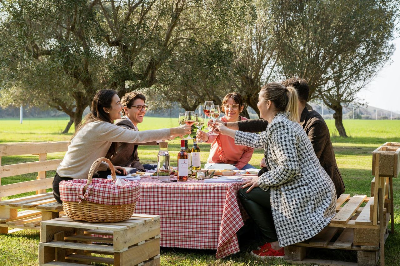 Cantina Mazzarosa: Picnic di campagna nell'uliveto — 4