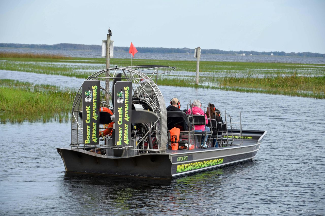 Kissimmee: tour in motoscafo delle Everglades di 1 ora a Boggy Creek — 6