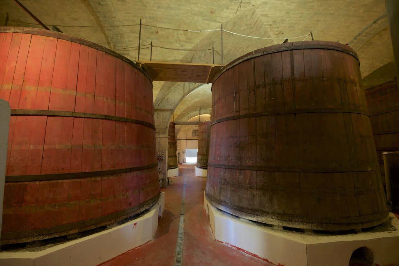 Tour delle cantine storiche d'Abruzzo e degustazione — 7
