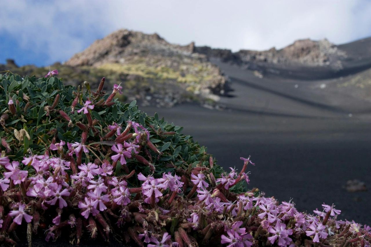 Escursione sull'Etna al mattino o al tramonto e visita alla Grotta della Lava — 3