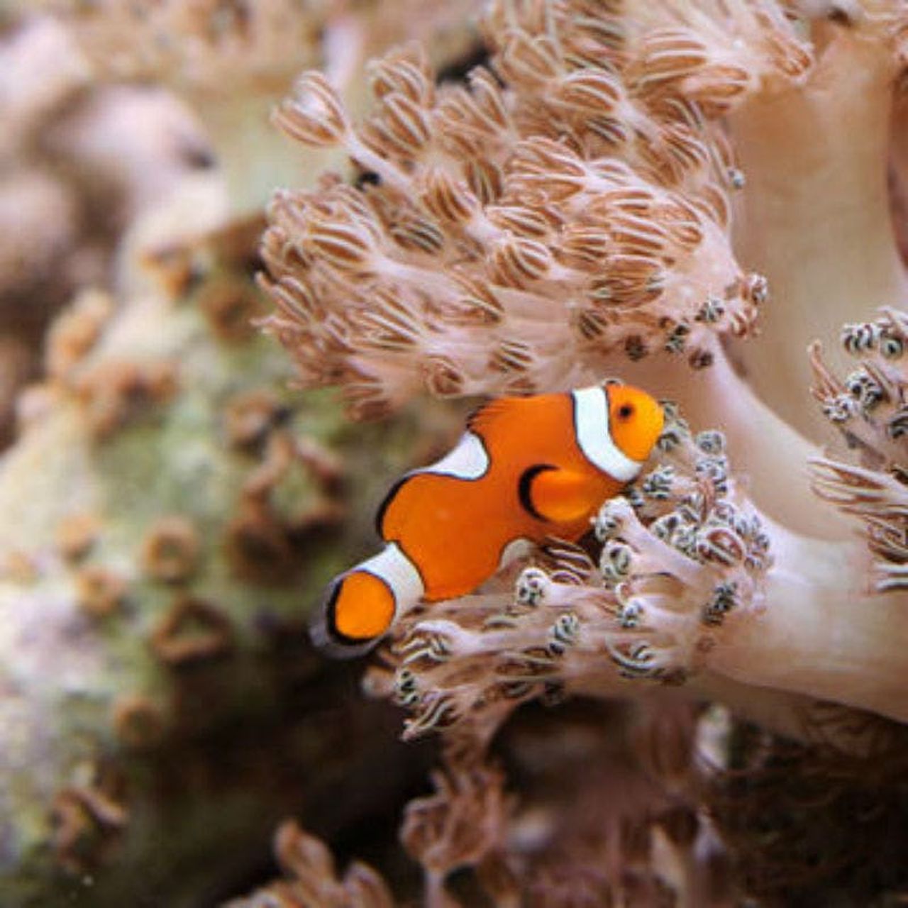 Acquario di New York: Biglietto d'ingresso — 8