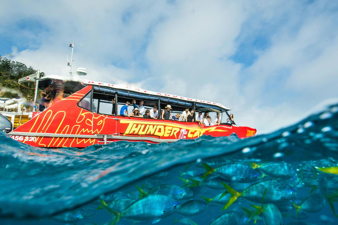 Airlie Beach: Thundercat Whitsundays Tour in giornata tutto compreso + pranzo a buffet — 4
