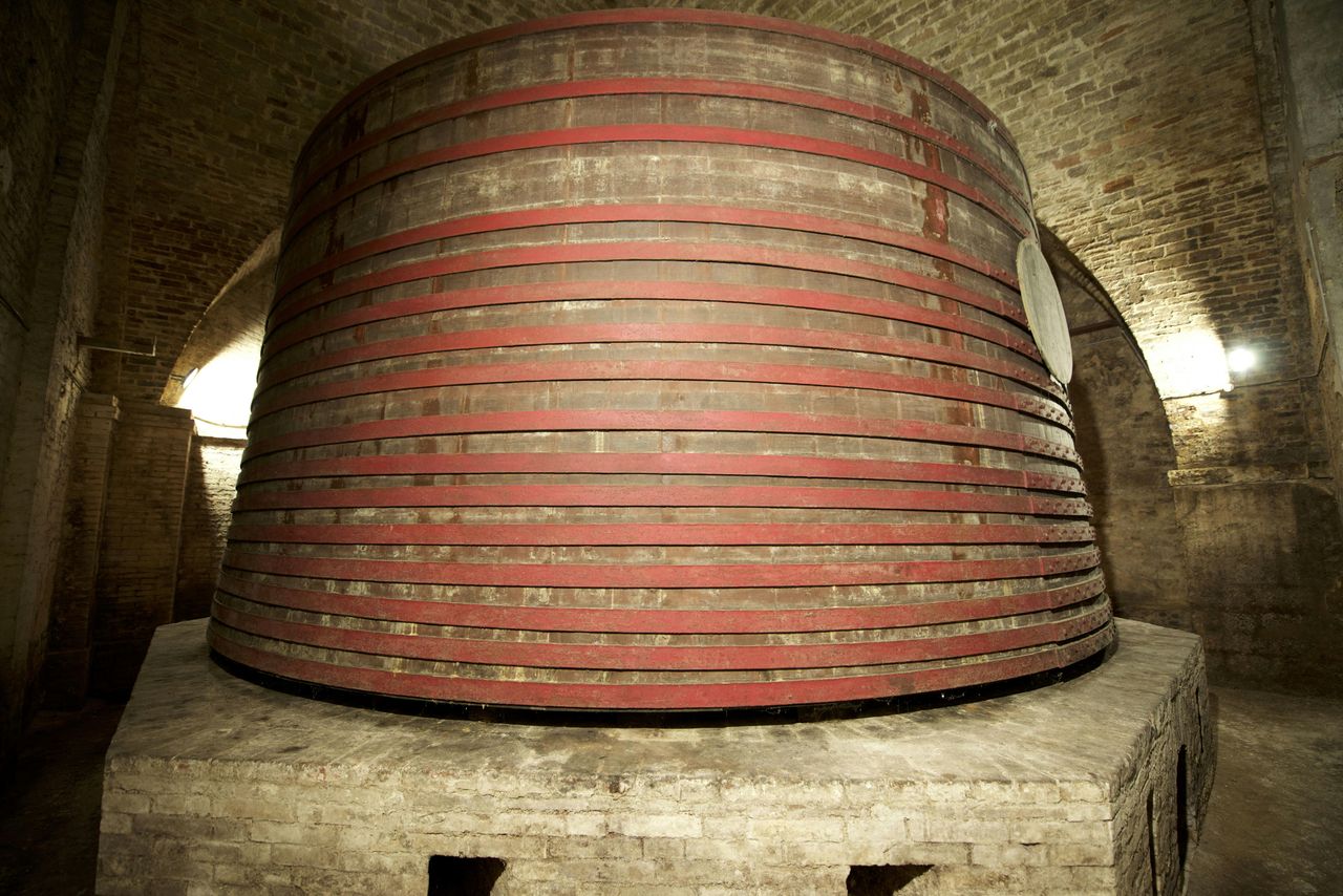 Tour delle cantine storiche d'Abruzzo e degustazione — 6