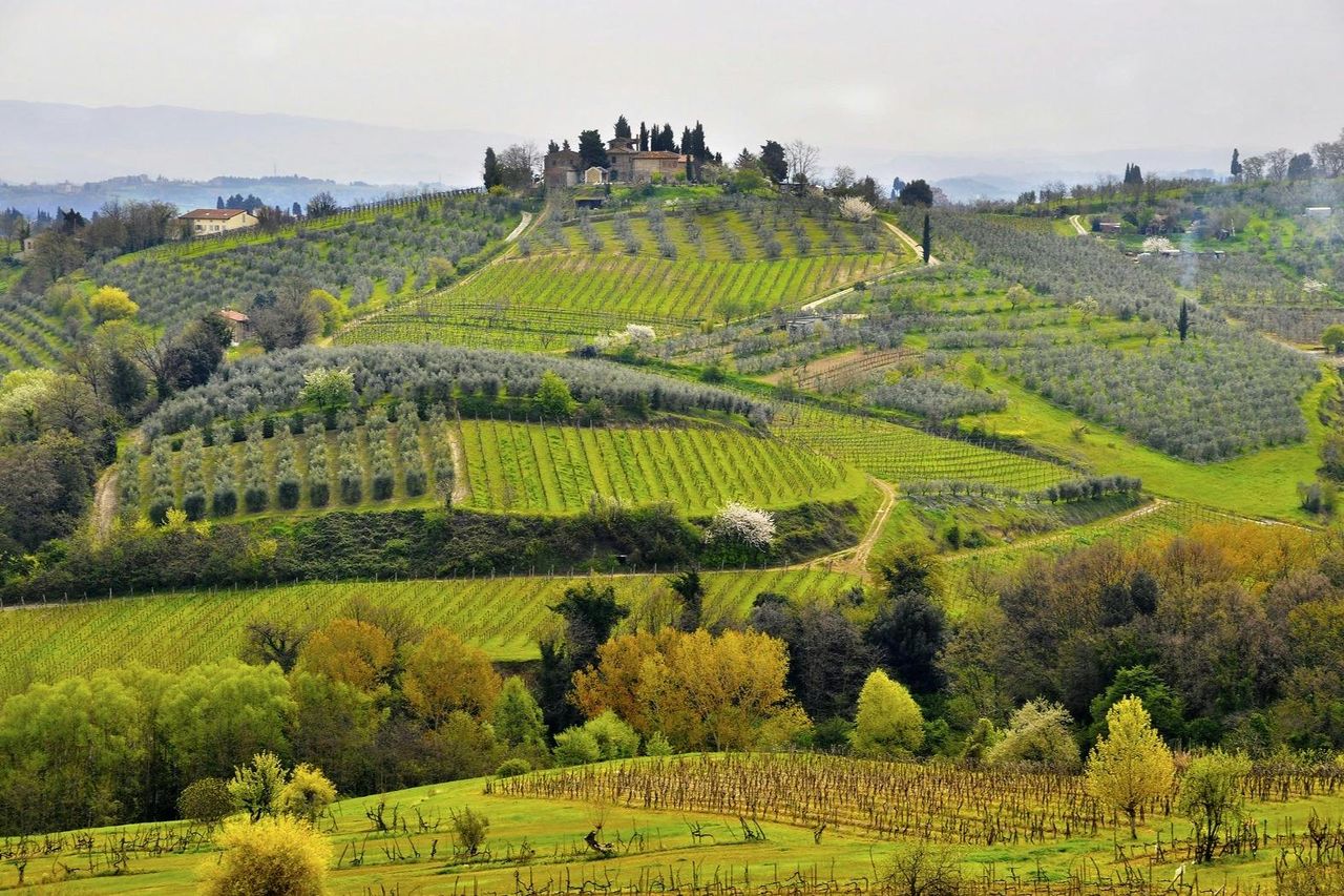 Certaldo, Monteriggioni e Castellina: Tour in giornata da Firenze + Corso di cucina — 3