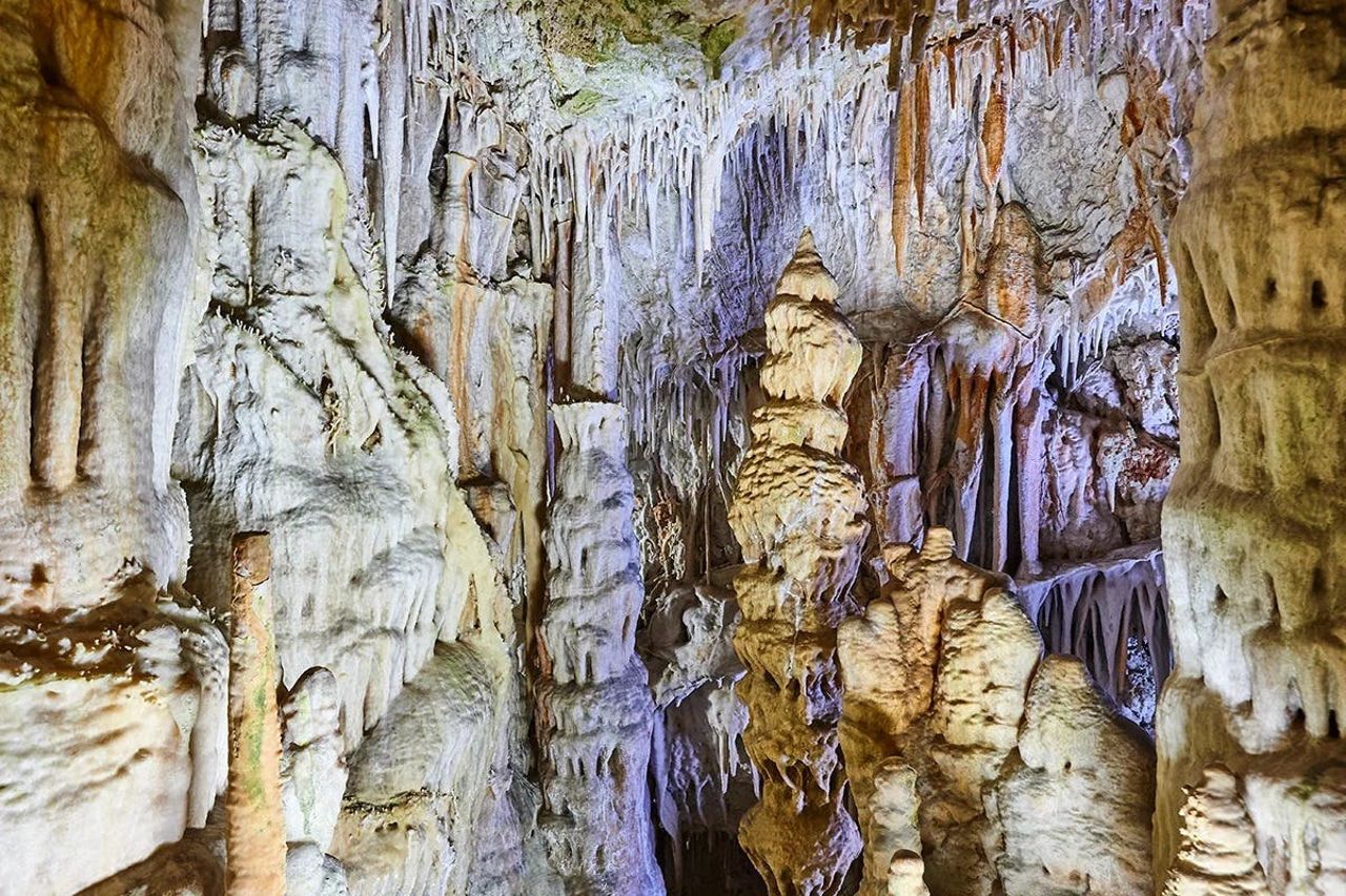 Grotte di Campanet: Biglietto salta-coda — 7