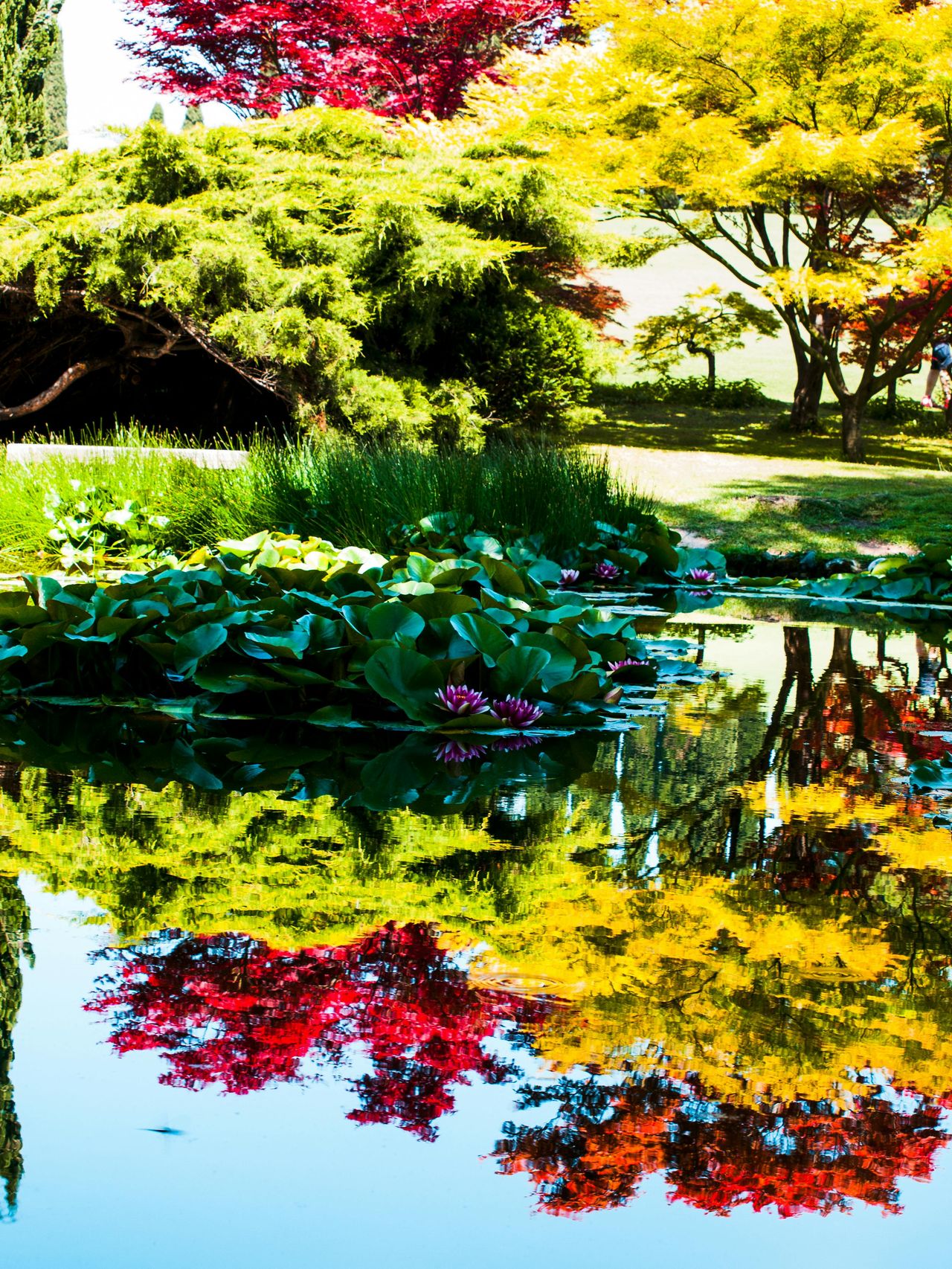 Parco Giardino Sigurtà: Biglietto a data aperta — 7