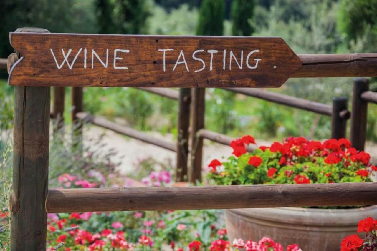 Montalcino: Tour di degustazione di vini da San Gimignano — 2