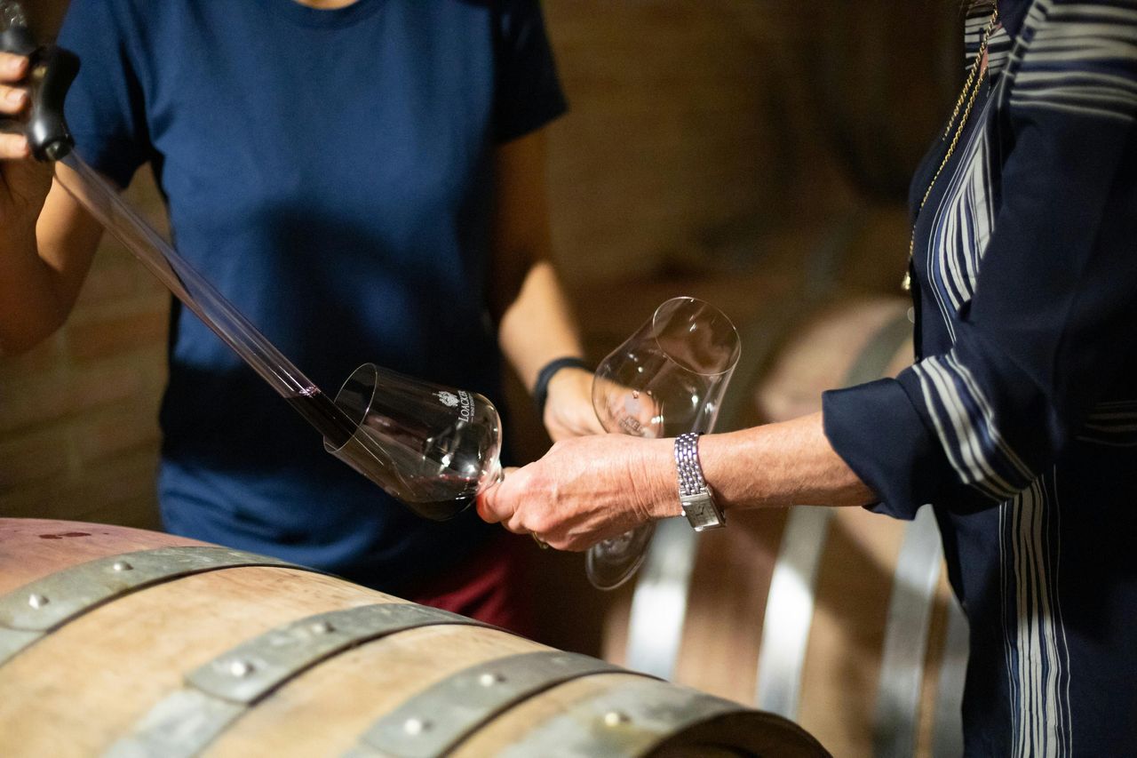 Tenuta vinicola Corte Pavone: Tour del Brunello dietro le quinte e degustazione gastronomica — 3