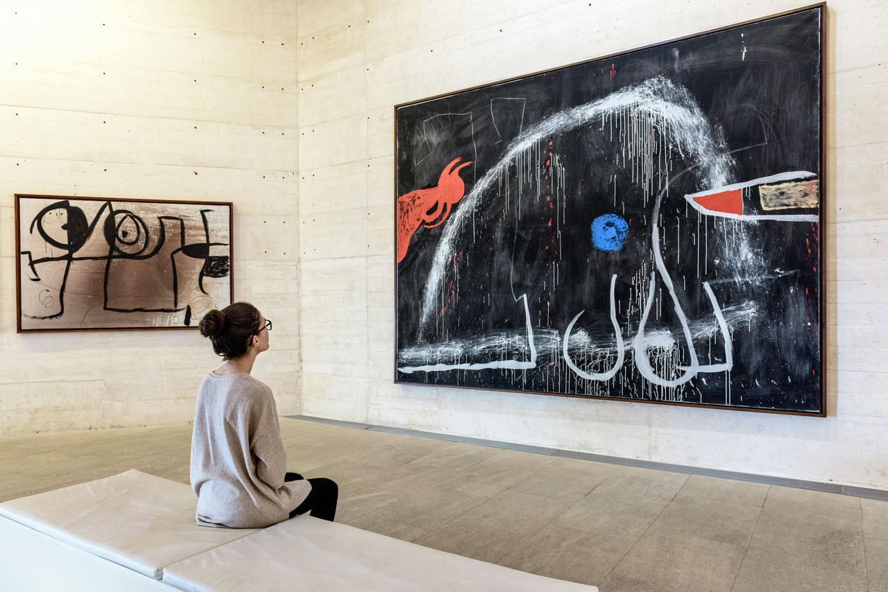 Fondazione Miró Maiorca: Biglietto d'ingresso — 4