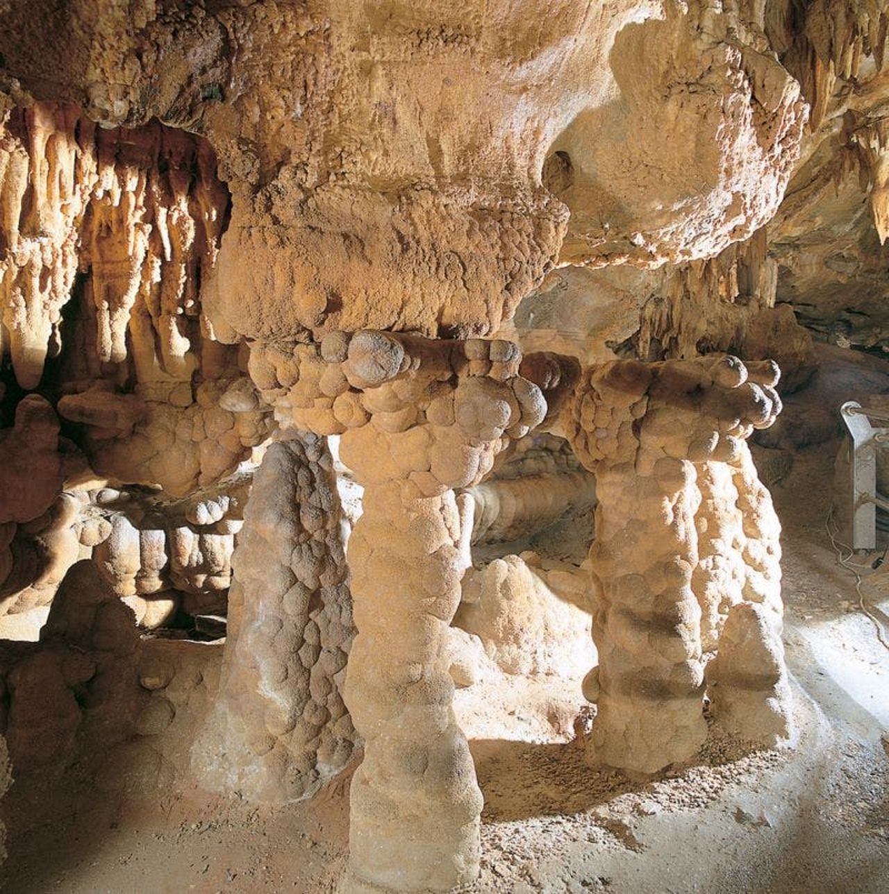 Grotte di Toirano: Biglietto con accesso rapido — 2
