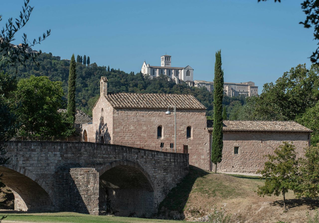 Bosco di San Francesco: Biglietto d'ingresso — 5