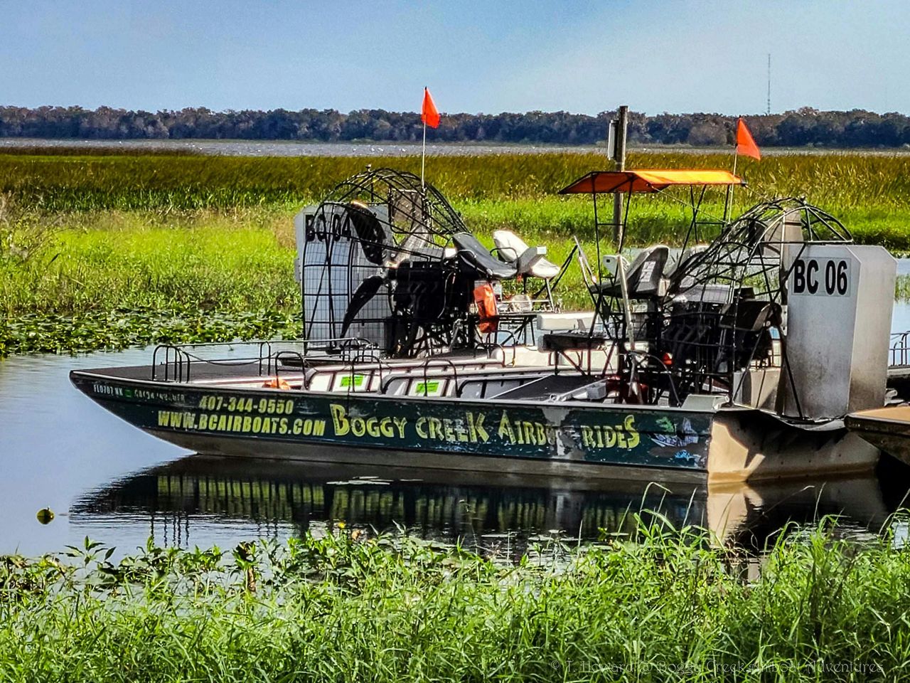 Kissimmee: tour in motoscafo delle Everglades di 1 ora a Boggy Creek