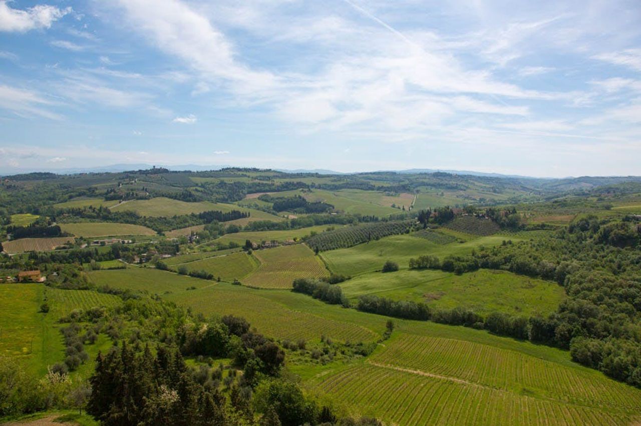 Chianti: Degustazione di vino e olio con tour guidato + Trasporto da Firenze — 2