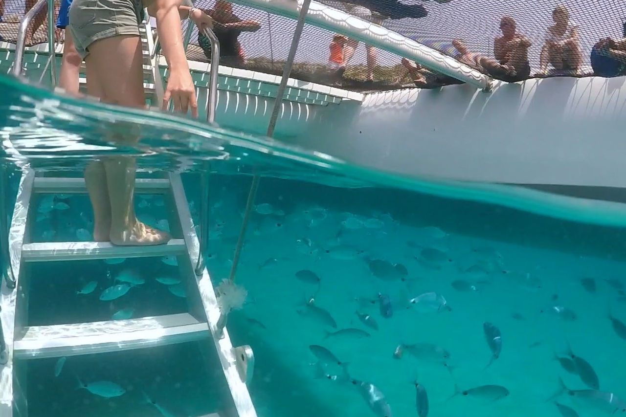 Cap Norfeu e Cadaques: Gita in barca a vela da Roses — 2