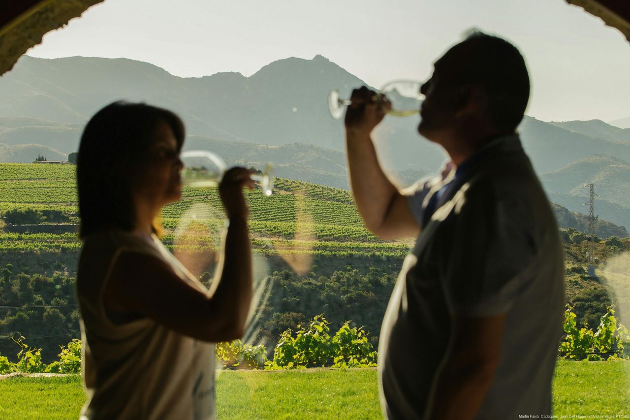 Martín Faixó | Sa Perafita: Tour Guidato nelle Cantine Vinicole — 3