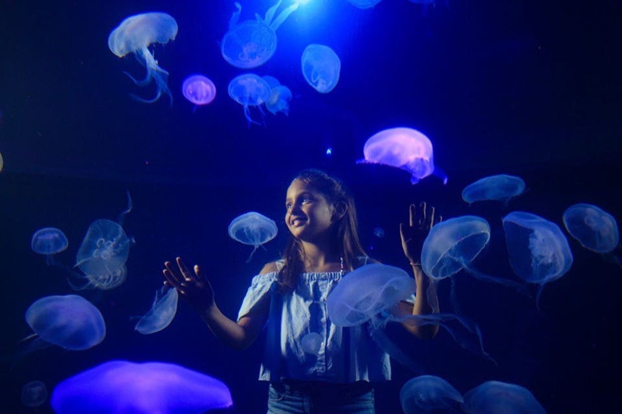 Palma Aquarium: Biglietto salta-coda + Cinema Aquadome 3D opzionale — 2