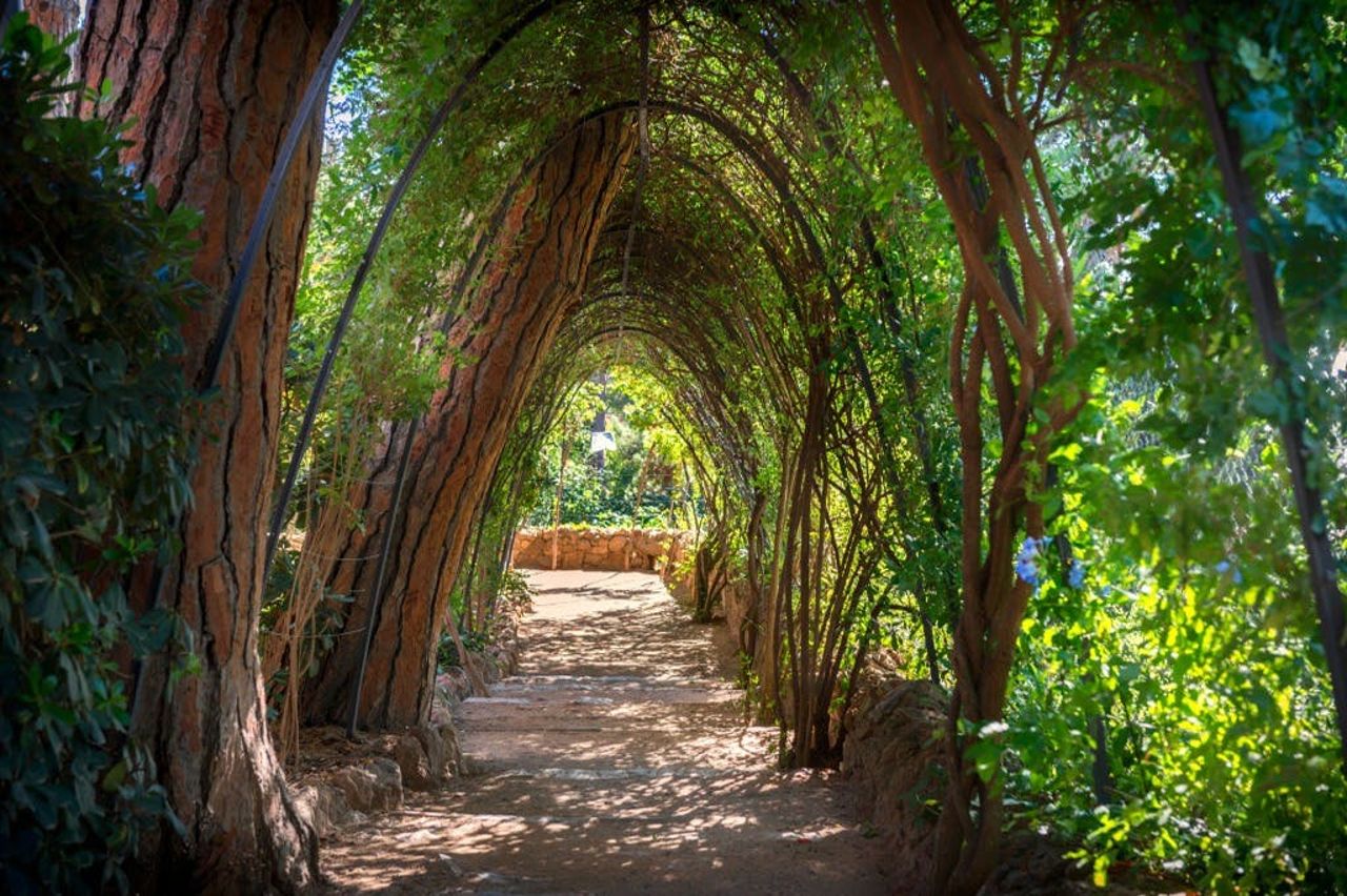 Parco Güell e Casa Museo Gaudì: Biglietto d'ingresso + audioguida