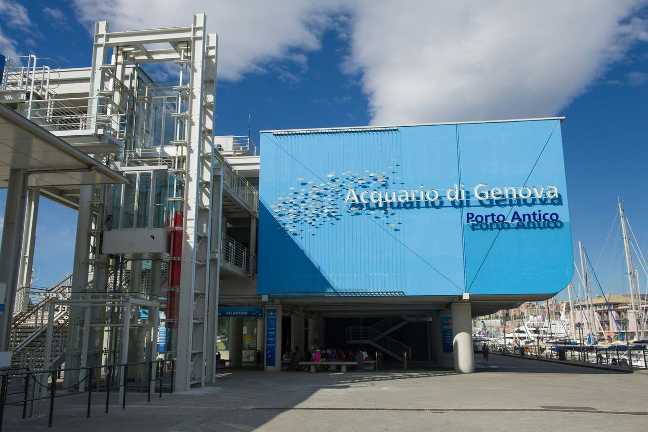 Acquario di Genova e Città dei bambini e dei ragazzi: Biglietto d'ingresso — 7