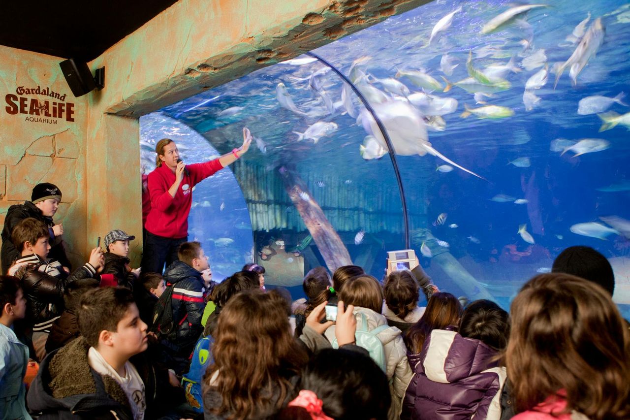 Gardaland Park + Gardaland SEA LIFE Aquarium — 9