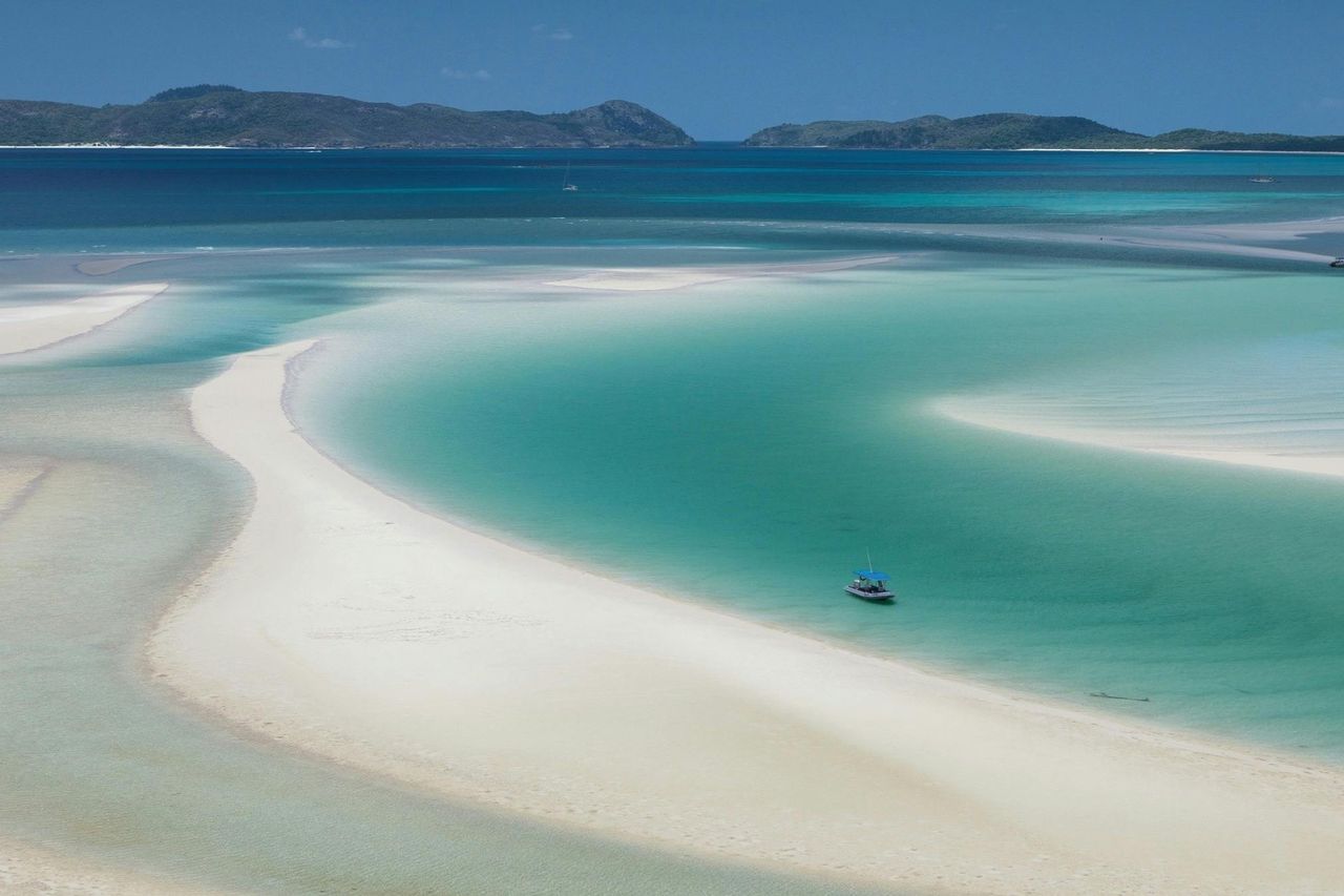 Grande barriera corallina e spiaggia di Whitehaven: Tour guidato per lo snorkeling — 7