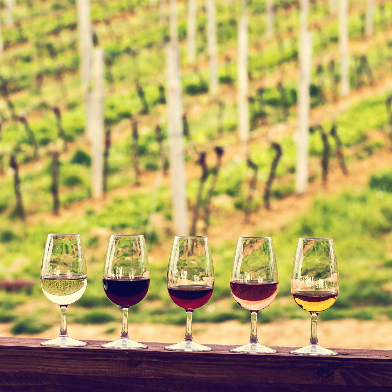 Médoc: Tour dei Vini di Mezza Giornata da Bordeaux — 3