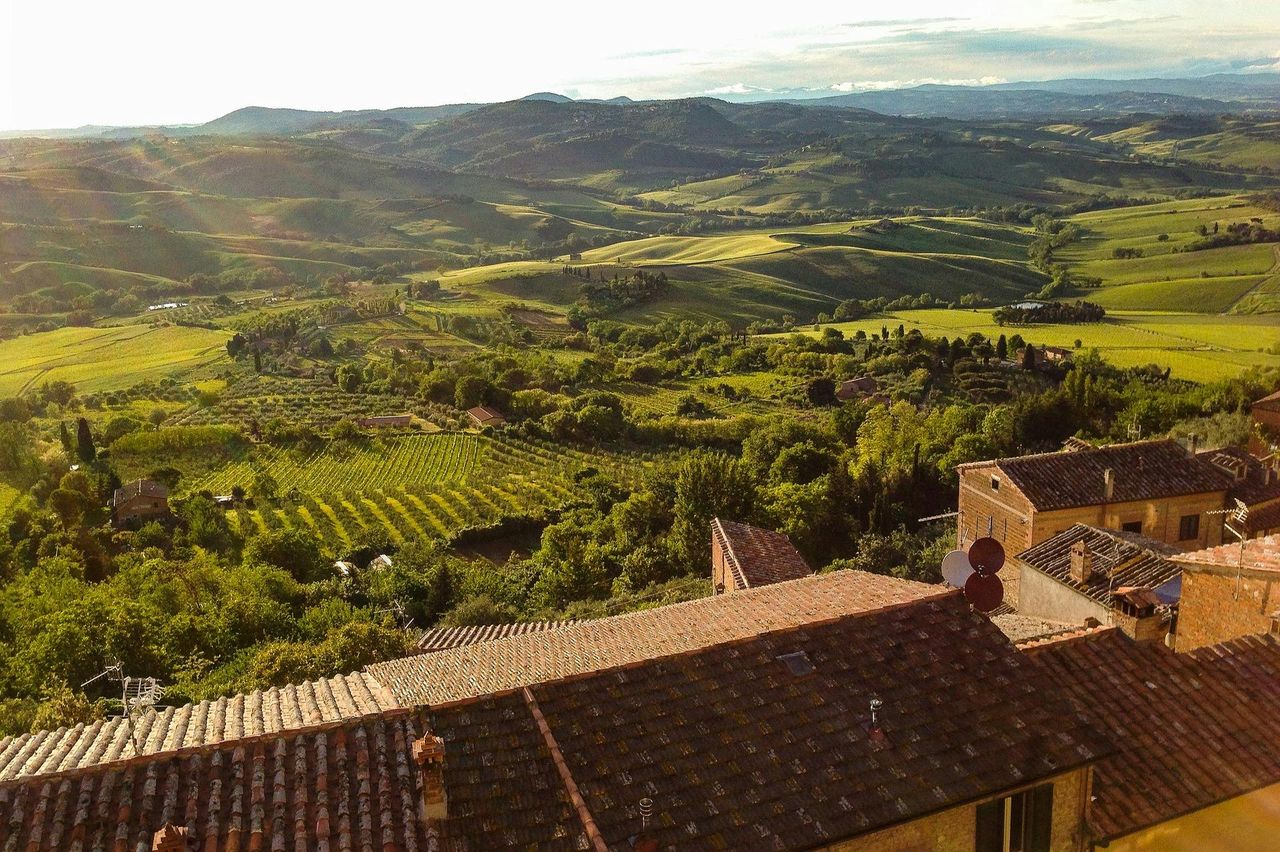 Montepulciano: Visita guidata al vigneto + degustazione di vini — 2