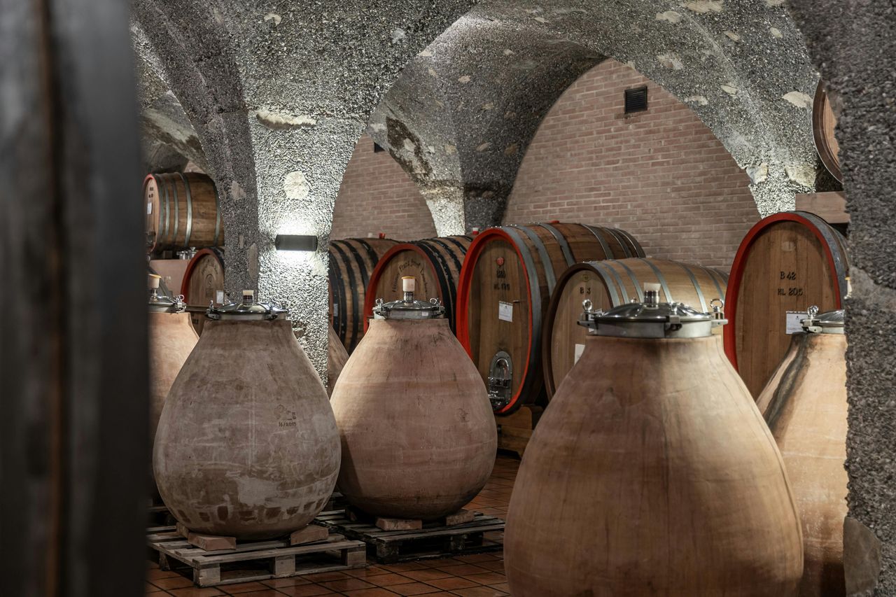 Azienda vinicola Corte Pavone: Degustazione di vini di Montalcino + bocconcini gourmet — 3