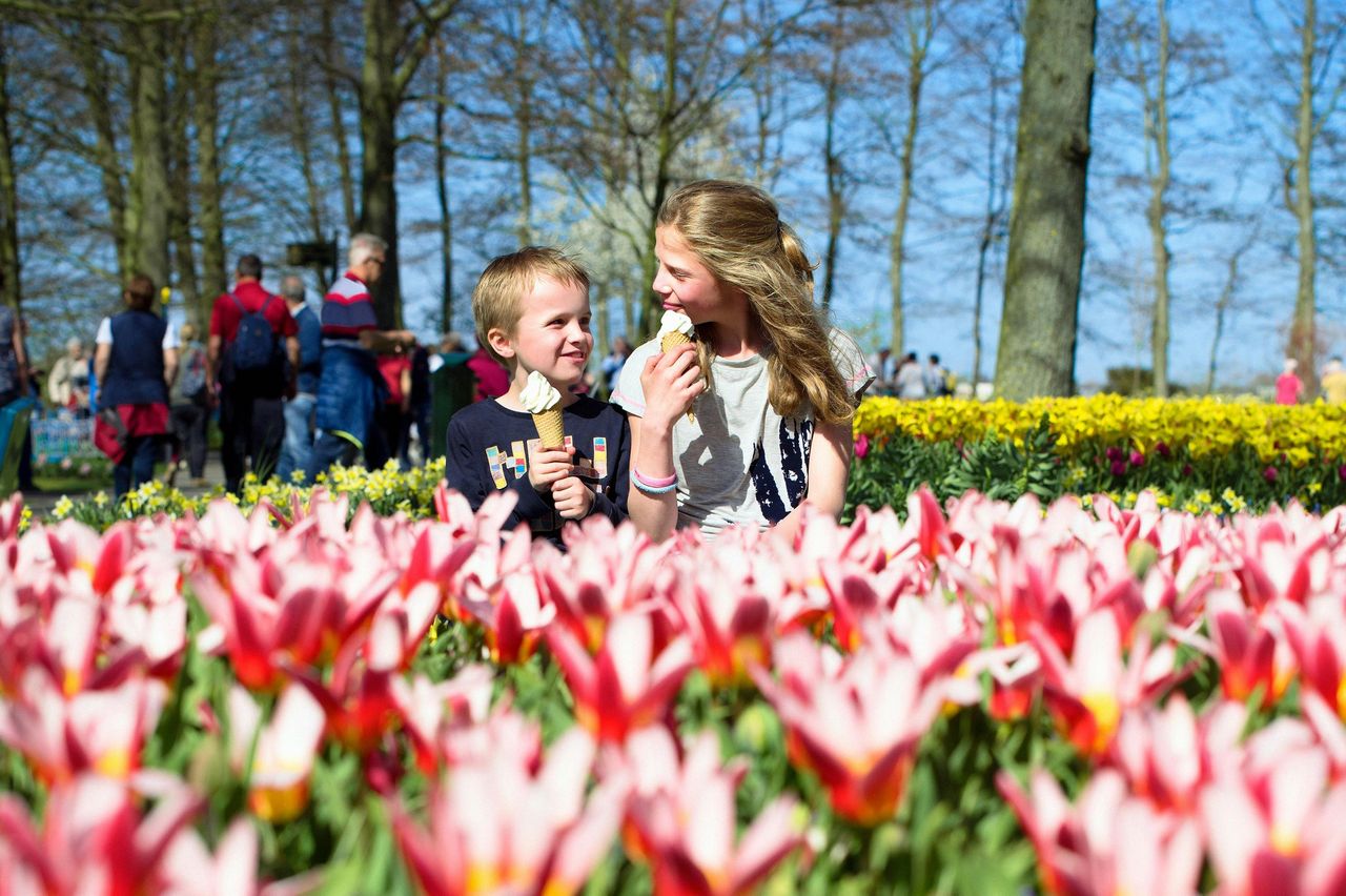 Keukenhof: Ingresso + autobus dalla Torre di A'dam — 3