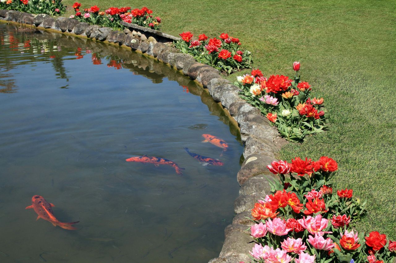 Parco Giardino Sigurtà: Biglietto a data aperta — 8