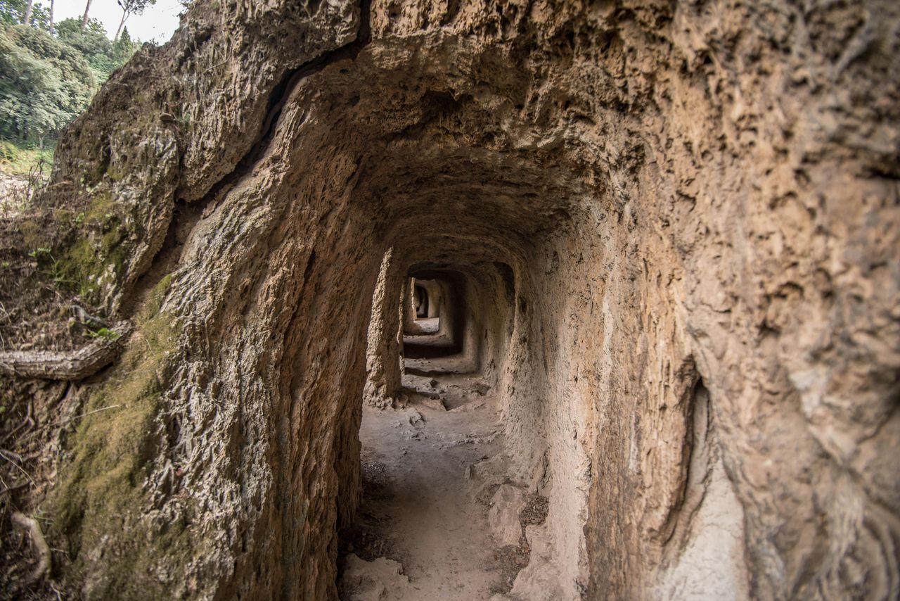 Villa Gregoriana: Biglietto d'ingresso — 5