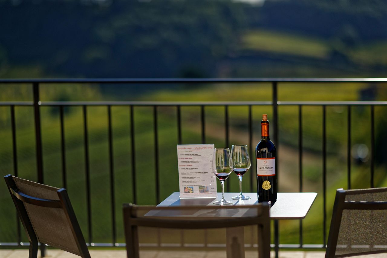 Château La Croizille: Tour Guidato + Degustazione di Vini — 5