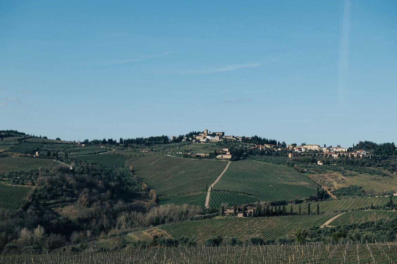 Chianti: tour guidato dei vini da Firenze + degustazione — 4